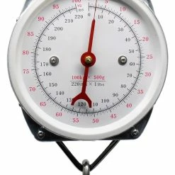 Cheapest 🤩 Lineaeffe 100kg 220lb Spring Balance Scales 🤩