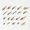 Brand new 🛒 Stillwater 20 Assorted Pheasant Tails ✨