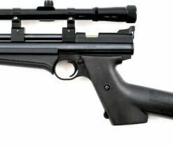 Cheap 😉 Crosman 2250B .22 Rattie Co2 Rifle 😉