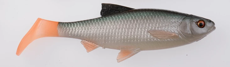 Budget ๐ Savage Gear 3D LB River Roach Paddletail โ๏ธ 3 Budget ๐ Savage Gear 3D LB River Roach Paddletail โ๏ธ - Image 3