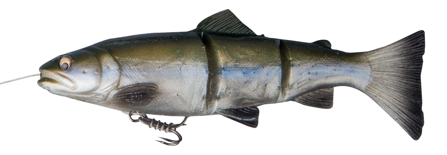 Outlet ๐ Savage Gear 3D Line Thru Trout - Special Edition Colours โญ 6 Outlet ๐ Savage Gear 3D Line Thru Trout - Special Edition Colours โญ - Image 6