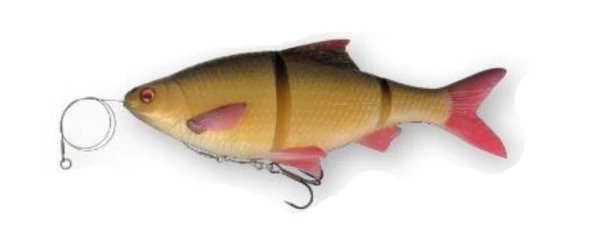 Cheap 🥰 Savage Gear 3D Linethru Roach ⭐ 4 Cheap 🥰 Savage Gear 3D Linethru Roach ⭐ - Image 4