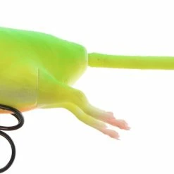 Deals π Savage Gear 3D Rad π 17 Deals π Savage Gear 3D Rad π -Glasgow Angling Sales 3d rad firetiger scaled