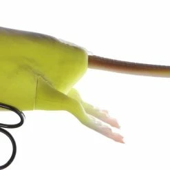 Deals π Savage Gear 3D Rad π 15 Deals π Savage Gear 3D Rad π -Glasgow Angling Sales 3d rad fluo yellow scaled