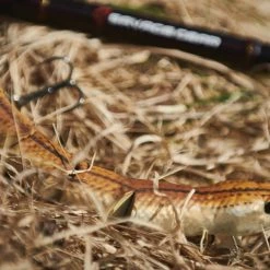 Buy 🌟 Savage Gear 3D Snake Floating Lures ❤️ 13 Buy 🌟 Savage Gear 3D Snake Floating Lures ❤️ -Glasgow Angling Sales 3d snake real or not