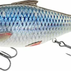 Deals ⭐ Savage Gear 3D Hard Pulsetail Roach 13.5cm 40g Slow Sinking 🥰
