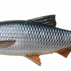 Best Pirce 🔔 Savage Gear 4D LB River Roach 🥰