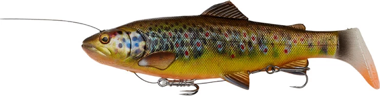 Cheapest π Savage Gear 4D Line Thru Rattle Trout 27.5cm π₯ 2 Cheapest π Savage Gear 4D Line Thru Rattle Trout 27.5cm π₯ - Image 2