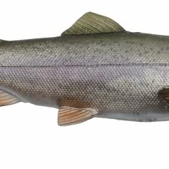 Brand new 😀 Savage Gear 4D Line Thru Trout Rattle Shad MS 🎁