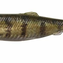 Best reviews of 💯 Savage Gear 4D Herring Shad 1pc 🎉