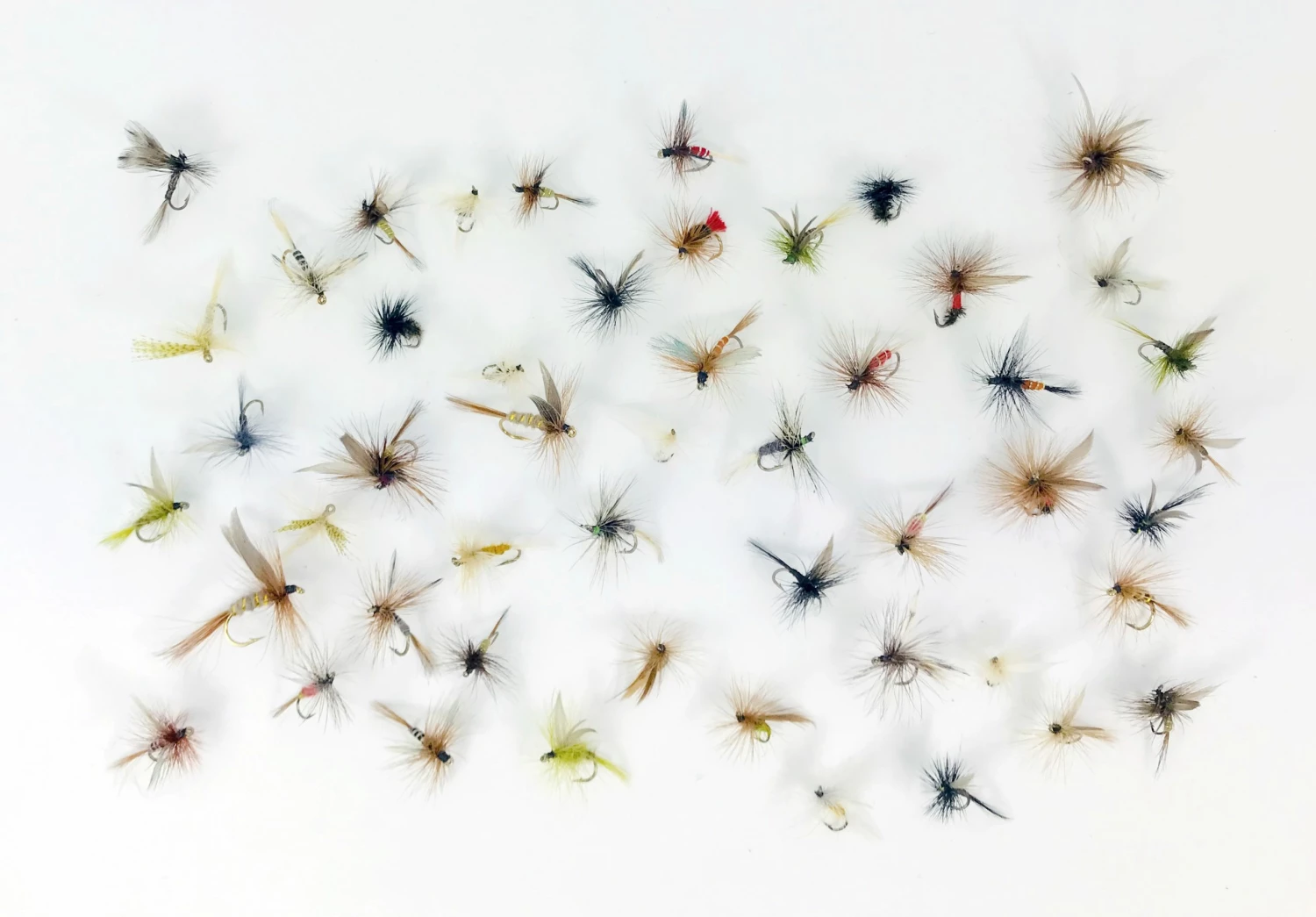 Best Sale ⭐ Stillwater Fly Box and 150 Flies Special Offer ⭐ 5 Best Sale ⭐ Stillwater Fly Box and 150 Flies Special Offer ⭐ - Image 5