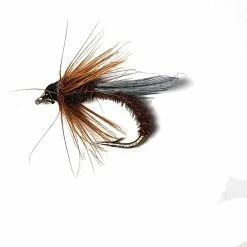 Buy 🤩 Stillwater Adult Emerger Phesant Tail - 1 Dozen 🔥