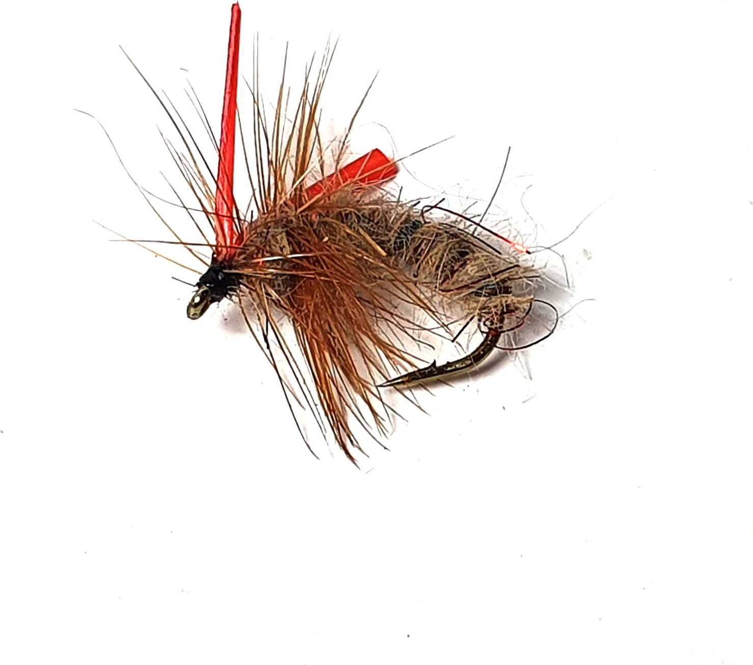 Cheap π Stillwater Arctic Emerger Natural Red Size 14 - 1 Dozen π― 1 Cheap π Stillwater Arctic Emerger Natural Red Size 14 - 1 Dozen π―