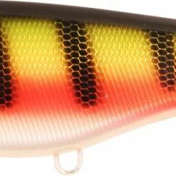 Discount ❤️ Strike Pro Baby Buster 🎁 -Glasgow Angling Sales baby buster disco perch