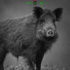 Budget 😀 ATN BinoX 4K Smart 4K Day / Night Rangefinder Binoculars 4 -16 🔔 -Glasgow Angling Sales binox 4k smart 4k 4 16 night