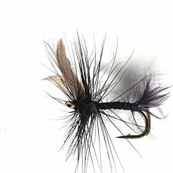 Best Pirce 🔥 Stillwater Black Ant Dry Fly - 1 Dozen ❤️