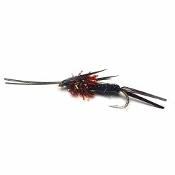 Hot Sale 👍 Stillwater Black Griffs Crawlers - 1 Dozen 🎁