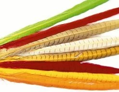 Coupon 👍 Veniard Bleached Cock Pheasant Tail 😉