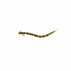 Promo 💯 Westin BloodTeez Lure 🔥