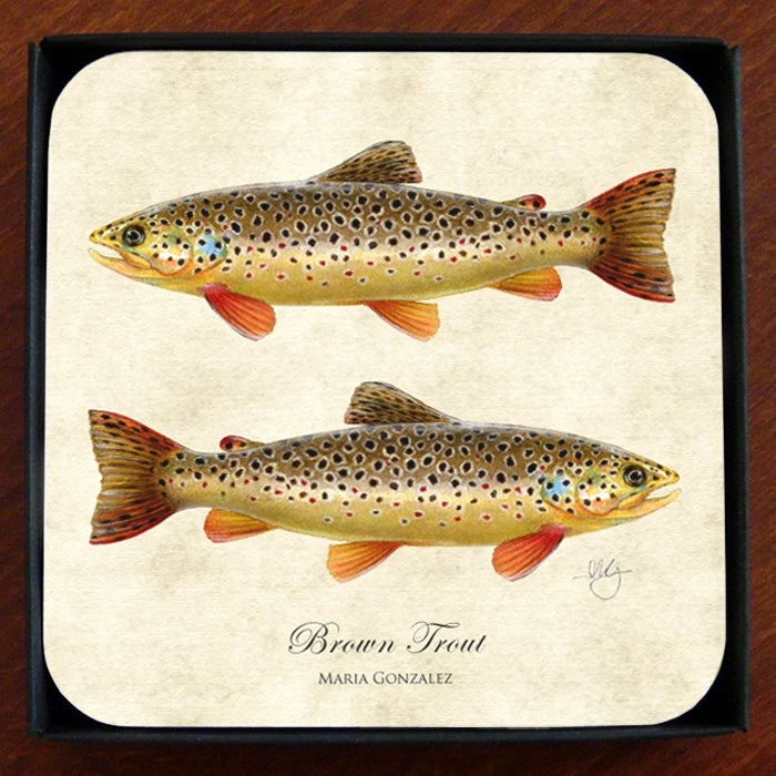 Promo 🥰 Mayfly Art Atlantic Salmon Coaster - Individual 🥰 2 Promo 🥰 Mayfly Art Atlantic Salmon Coaster - Individual 🥰 - Image 2