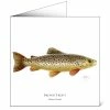 Cheapest 🧨 Mayfly Art Brown Trout Greetings Card 🎁