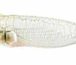 Best reviews of ❤️ Nomura Bubble Popper Floating Lures ⭐ 8 Best reviews of ❤️ Nomura Bubble Popper Floating Lures ⭐ -Glasgow Angling Sales bubble popper floating lures ghost