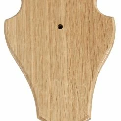 Top 10 💯 Decoy Buck trophy plate Light wood 20 x 13 cm ⌛