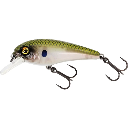 Coupon π Westin BullyBite Crankbait Floating Lure π 2 Coupon π Westin BullyBite Crankbait Floating Lure π - Image 2