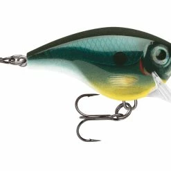 Hot Sale ๐ Rapala BX Brat 5cm 10g ๐ 19 Hot Sale ๐ Rapala BX Brat 5cm 10g ๐ -Glasgow Angling Sales bx reg brat carbon cbn
