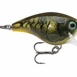 Hot Sale ๐ Rapala BX Brat 5cm 10g ๐ 24 Hot Sale ๐ Rapala BX Brat 5cm 10g ๐ -Glasgow Angling Sales bx reg brat mossy msy