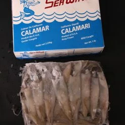 Promo 🔥 Baitbox Californian Squid 5lb 😍