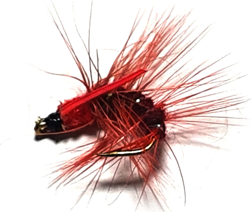 Best Sale 🔔 Stillwater Circle Snatcher Claret Size 10 - 1 Dozen ❤️ 1 Best Sale 🔔 Stillwater Circle Snatcher Claret Size 10 - 1 Dozen ❤️