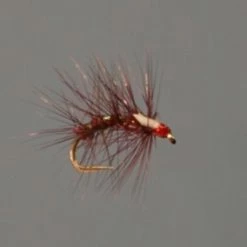 Brand new 🔔 Stillwater Claret Snatcher ⌛