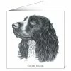 New ⌛ Mayfly Art Cocker Spaniel Greetings Card 🛒