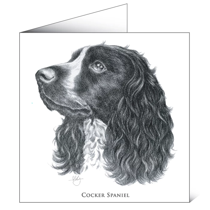 New β Mayfly Art Cocker Spaniel Greetings Card π 1 New β Mayfly Art Cocker Spaniel Greetings Card π