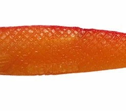 Best reviews of 😍 Sidewinder Crusader Shads 4in 23g 2pc 🎁 -Glasgow Angling Sales crusader shads rhubarb custard