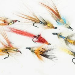 New 🛒 Stillwater Double Shrimps Salmon x 10 💯