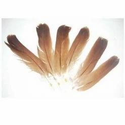 Best deal ✨ Veniard English Partridge Cinnamon Tails 🌟