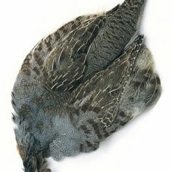 Wholesale 🎁 Veniard English Partridge Complete Skin ✔️