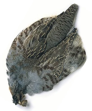 Wholesale 🎁 Veniard English Partridge Complete Skin ✔️ 1 Wholesale 🎁 Veniard English Partridge Complete Skin ✔️