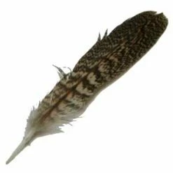 Cheapest ✨ Veniard English Partridge Speckled Tails 🧨