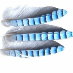 Discount ⭐ Veniard European Jay Blue Hackles 10pk 😉