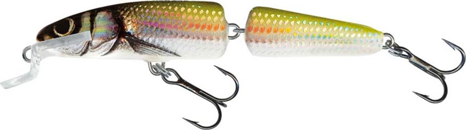 Cheapest ๐ Salmo Fanatic 7cm Floating โ๏ธ 1 Cheapest ๐ Salmo Fanatic 7cm Floating โ๏ธ