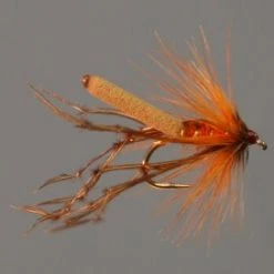 Wholesale 🛒 Stillwater Fiery Brown Daddy ✨