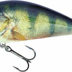 Best Sale 🌟 Salmo Fatso Floating and Sinking Lures 😀 -Glasgow Angling Sales floating fatso 100mm jerkbait lures real perch