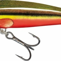 Cheap ✔️ Salmo Minnow Crankbait ⌛ -Glasgow Angling Sales floating minnow crankbait lures rainbow dace