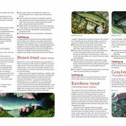 Flash Sale 🤩 Haynes Fly Fishing Manual Hardback 🌟 7 Flash Sale 🤩 Haynes Fly Fishing Manual Hardback 🌟 -Glasgow Angling Sales fly fishing manual hardback 2