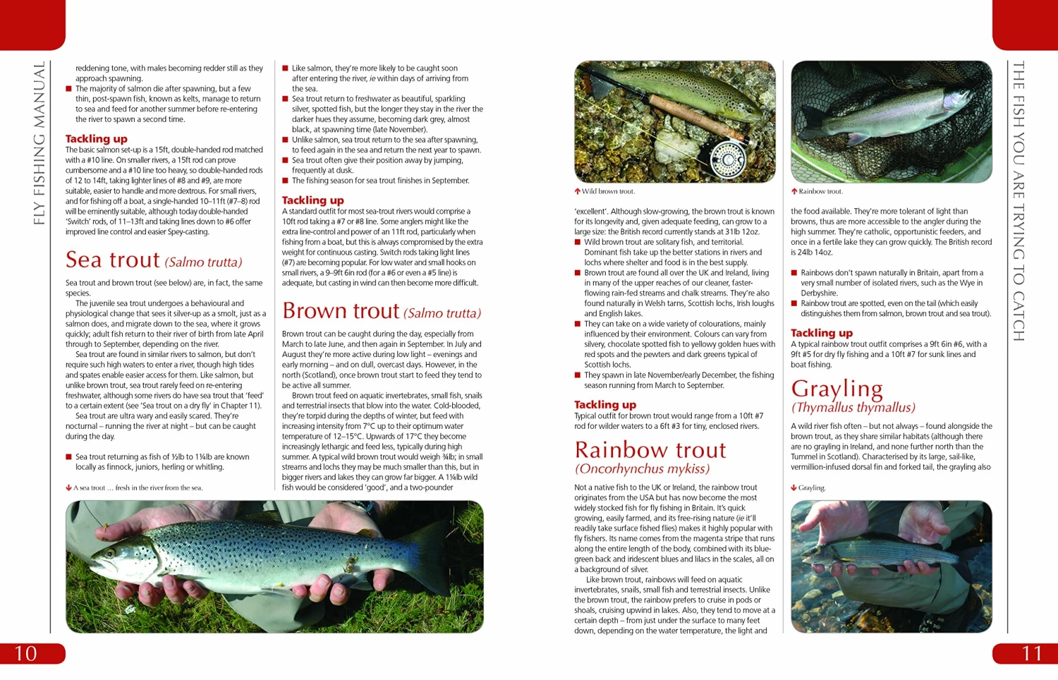 Flash Sale 🤩 Haynes Fly Fishing Manual Hardback 🌟 3 Flash Sale 🤩 Haynes Fly Fishing Manual Hardback 🌟 - Image 3