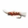 Hot Sale ✔️ Stillwater Ginger Shipmans Buzzer - 1 Dozen ⌛