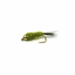 Wholesale 💯 Stillwater Gold Bead Nymph Olive Size 12 - 1 Dozen 😀